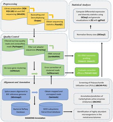 Metatranscriptomic analysis of the gut microbiome of black soldier fly larvae reared on lignocellulose-rich fiber diets unveils key lignocellulolytic enzymes